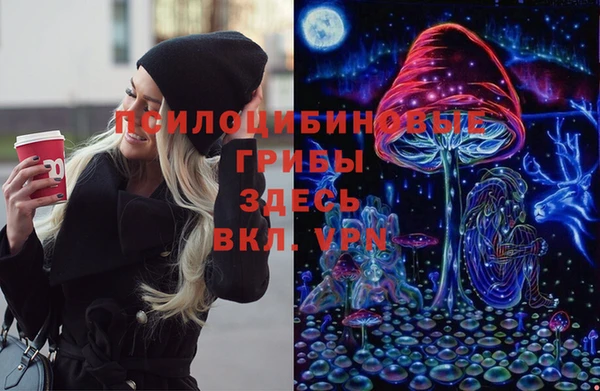 круглые Алзамай