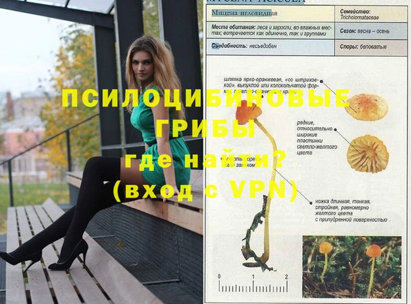 круглые Алзамай