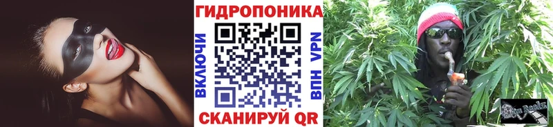 Бошки Шишки AK-47  ОМГ ОМГ ТОР  Строитель  где найти  
